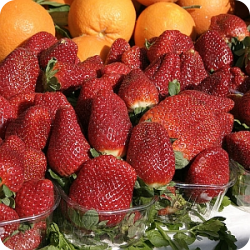 Fruits - Source of Vitamin C